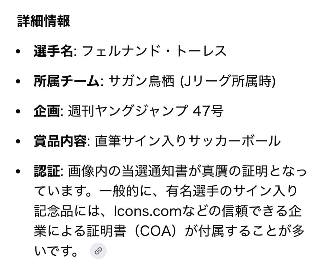 【超希少レア】週刊ヤングジャンプ フェルナンドトーレス 直筆サインボール