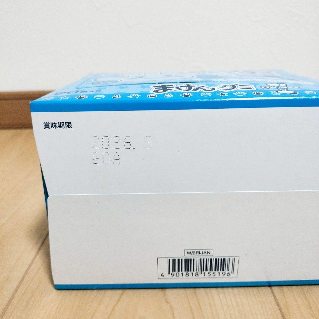 ※専用ページです【アミューズメントお菓子】お菓子のまとめ売りです！【A】【B】