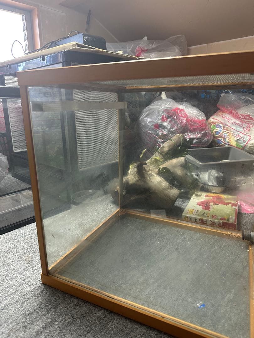 ［引き取り限定］中型ガラス飼育ケージ 600木の枝付きおまけケージ2個