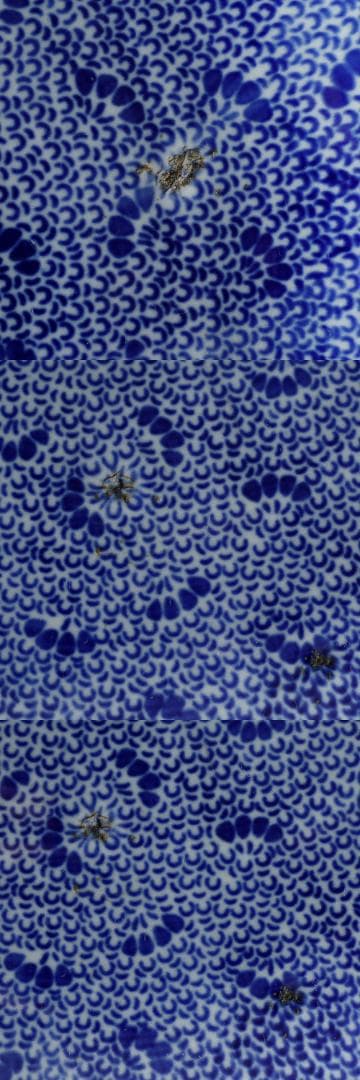 江戸幕末明治時代 古伊万里 有田 染付 尺寸大皿 微塵唐草 ベロ藍約35㎝ 飾皿