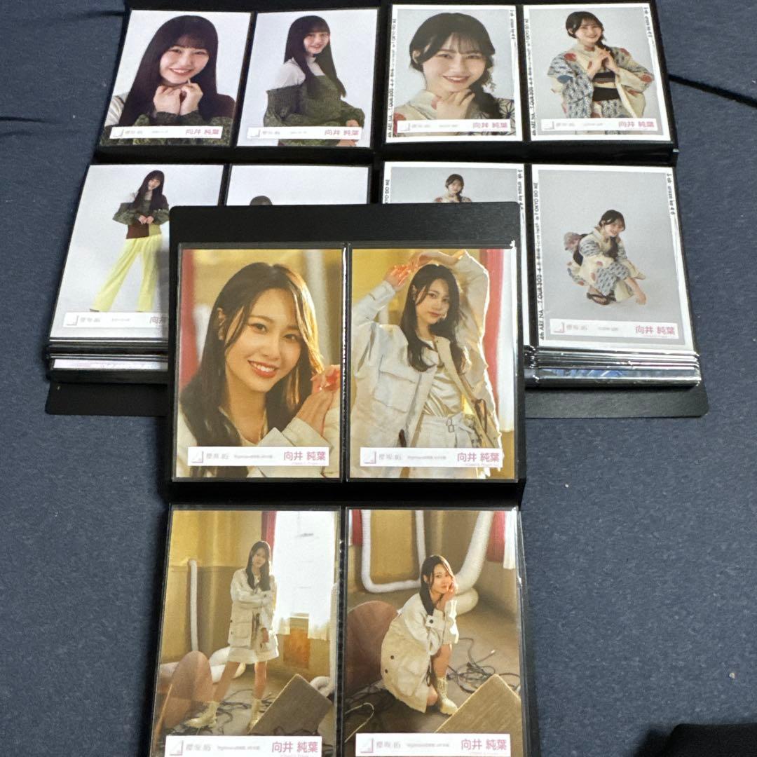 期間限定値下　向井純葉　生写真　最初期〜2025/9 フルコンプ95種