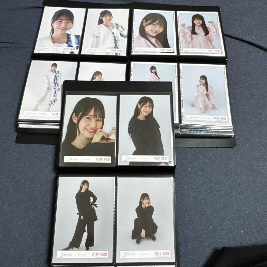 期間限定値下　向井純葉　生写真　最初期〜2025/9 フルコンプ95種