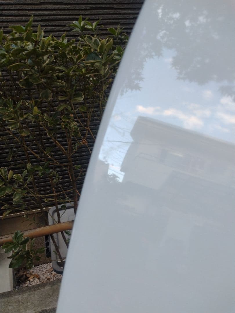 PLACEBO ジーク ショートボード