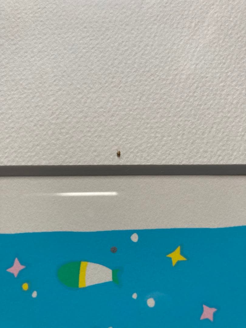 お値引き　うたうくじら　シルクスクリーン　安斎嘉子　版画