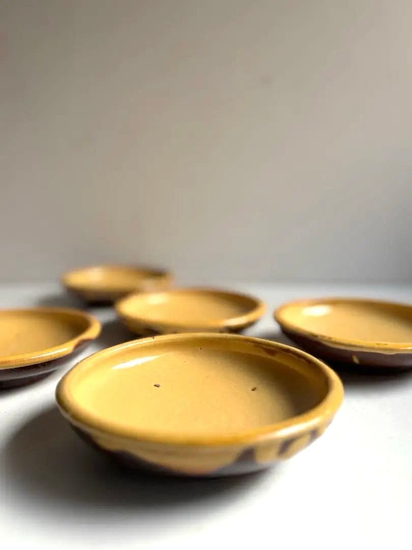 763 骨董 アンティーク 布志名焼 ガレナ釉皿 5点 民芸 柳宗悦 美品 明治