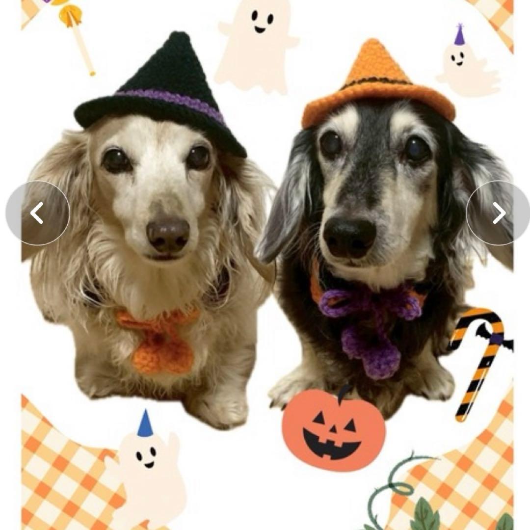 MocoHouse ハロウィンコスチューム 犬用付け襟XS