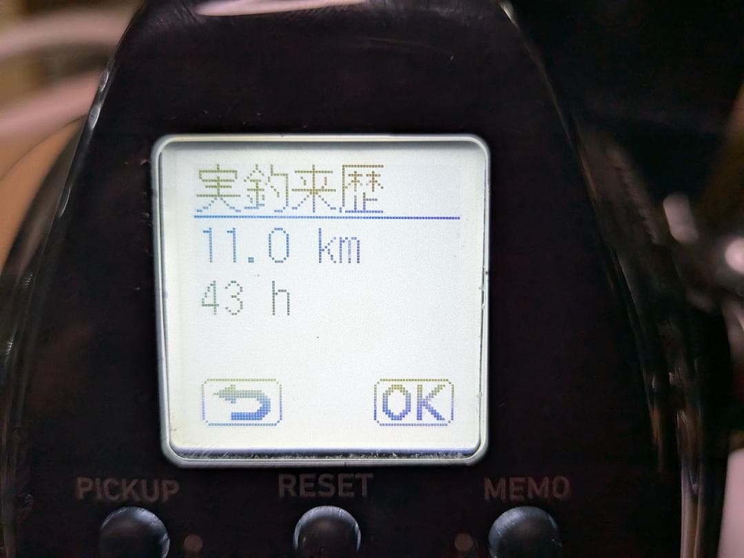 DAIWA/ダイワ 電動リール 21シーボーグ 300J　万能リール