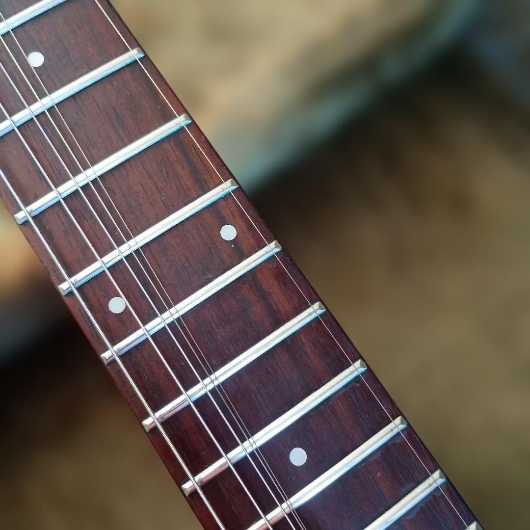 Aria ProⅡ アリアプロ2 MAGNA SERIES SSH