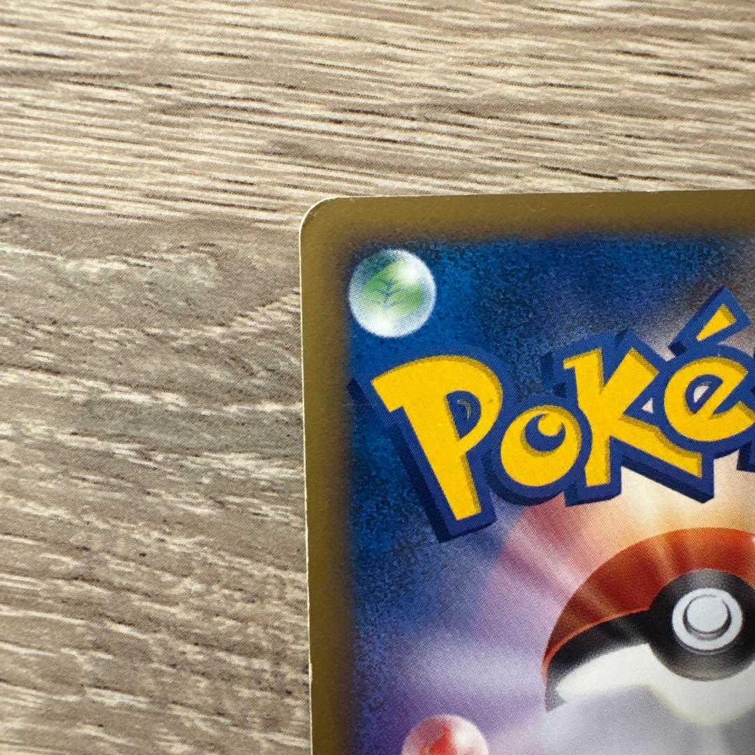 Seizachan　ゼニガメ ブラッキー