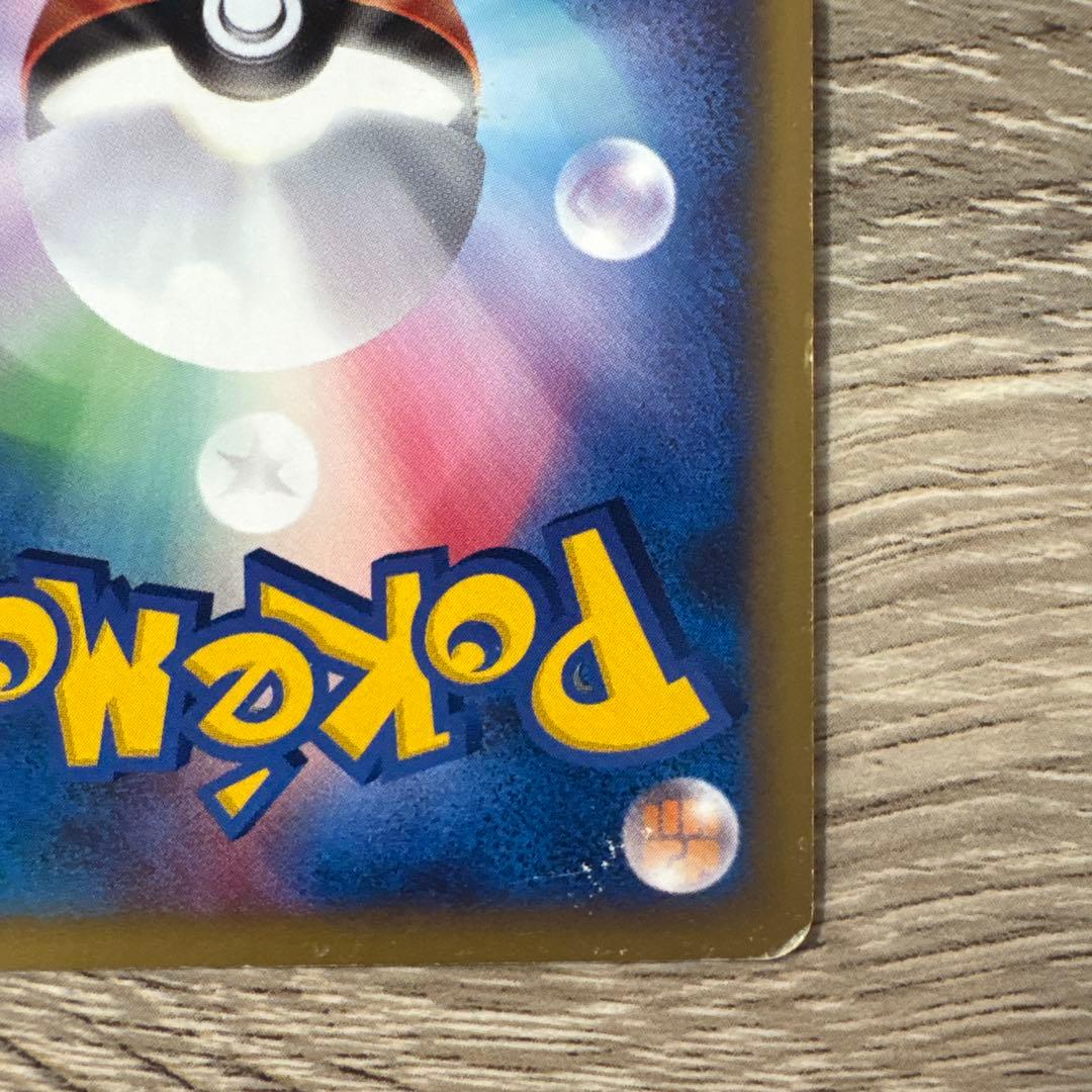 Seizachan　ゼニガメ ブラッキー