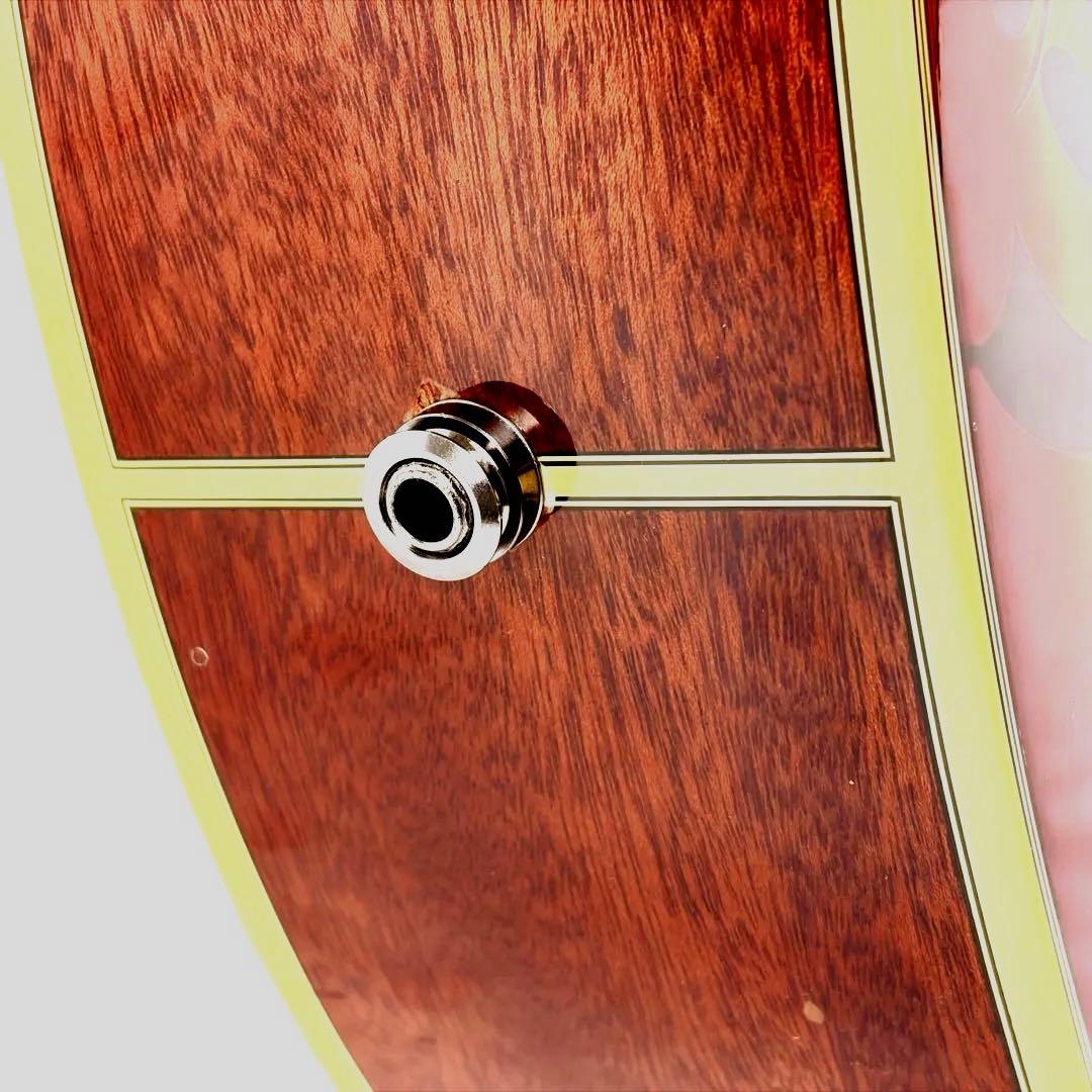 ARIA RFTE-MM Disneyコラボ ミッキーマウス　エレアコ