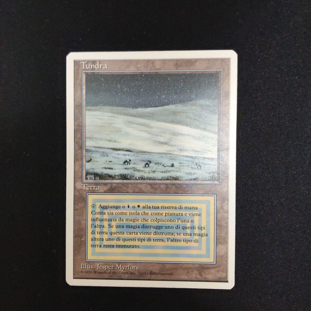 ●【訳アリ】　Tundra　他言語　１枚