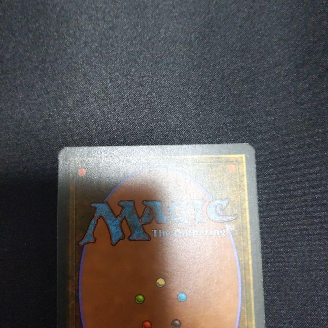 ●【訳アリ】　Tundra　他言語　１枚