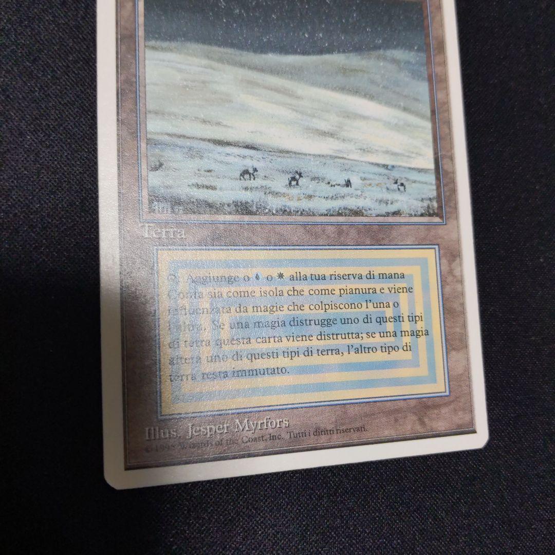 ●【訳アリ】　Tundra　他言語　１枚