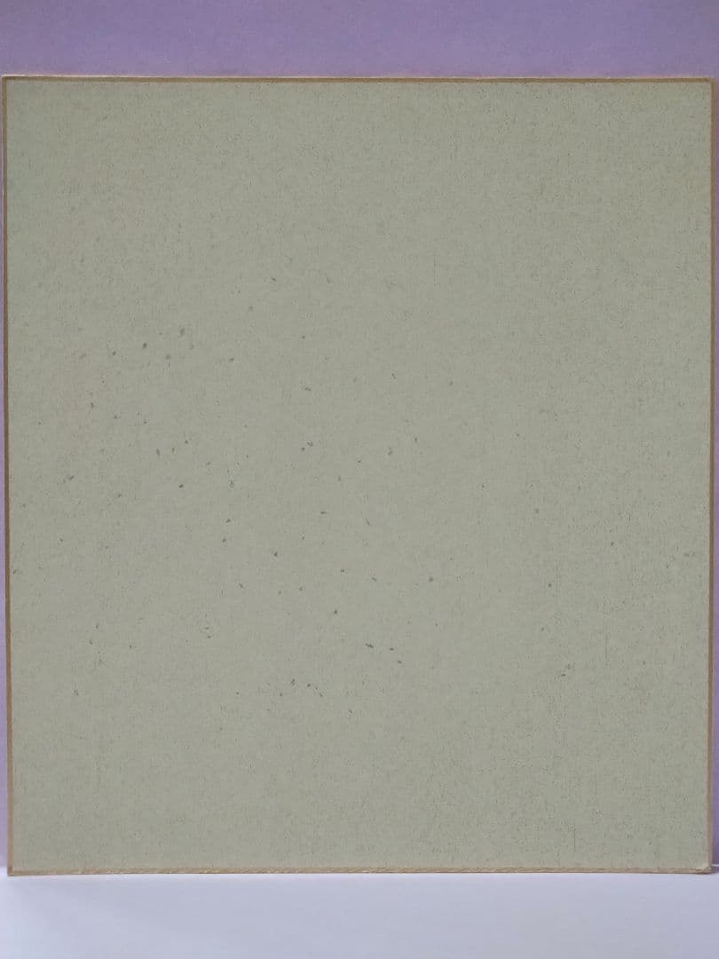 宮崎駿 直筆イラスト & サイン色紙 (となりのトトロ)