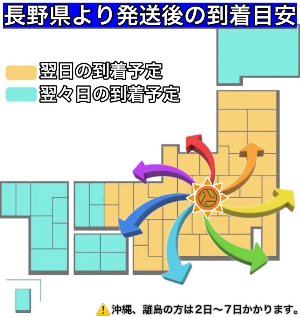 信州産 落葉きのこ ハナイグチ 約1.8kg