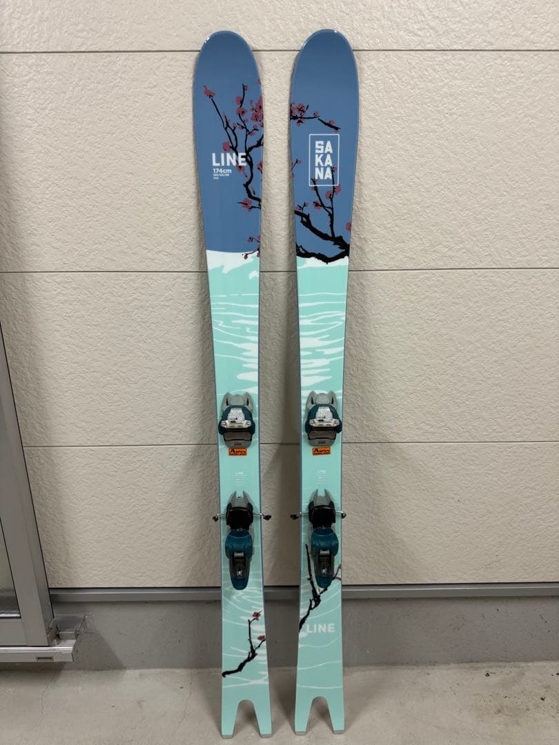 LINE SAKANA スキー 174cm