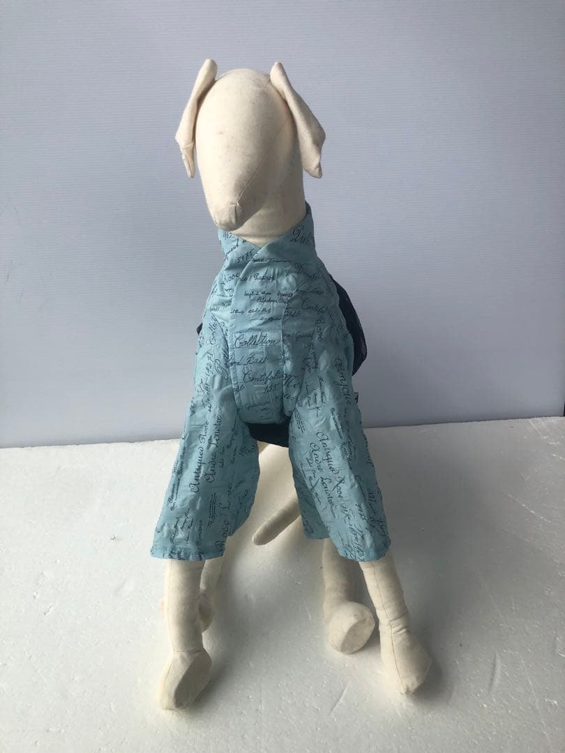 イタグレ　ウィペット　浴衣　ブルー