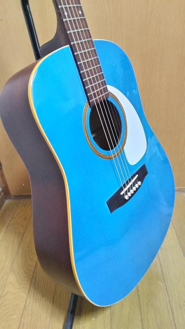 ❤️弦高調整済「seagull S6 + SPRUCE」(*゜▽゜)ノ指弾き良し