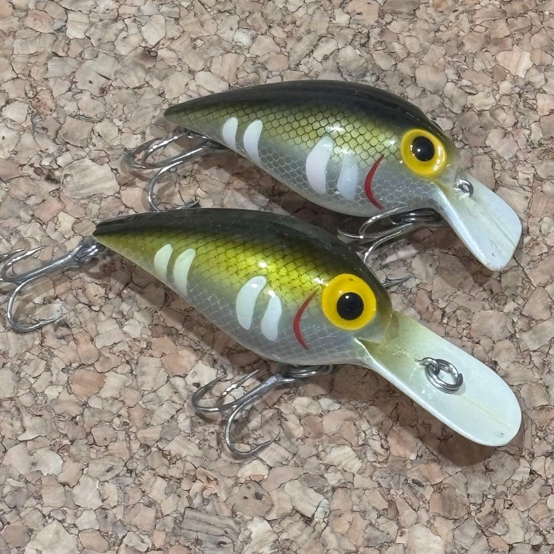 ストーム　ファッツオーとウイグルワート　ジャパンカラー　オイカワ