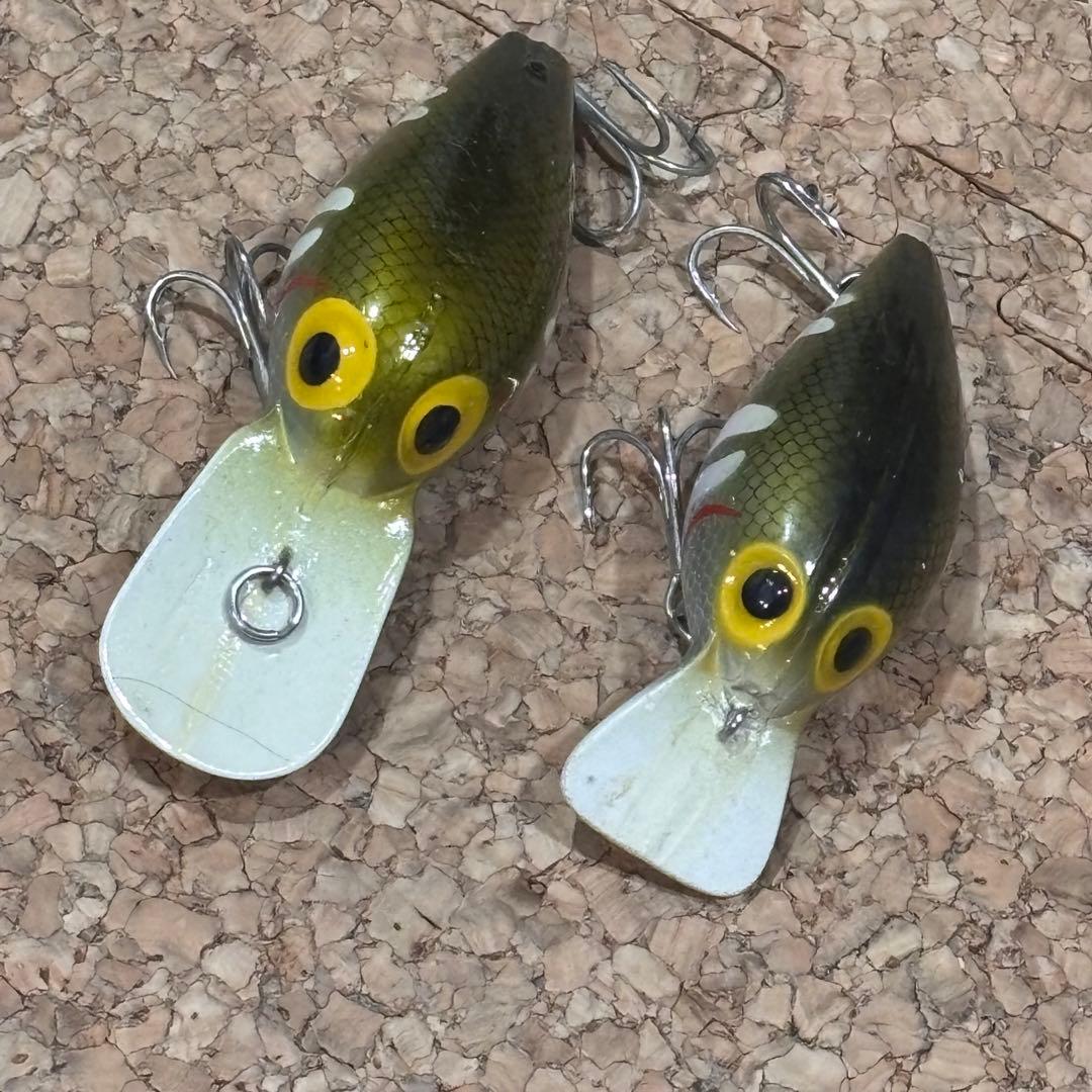 ストーム　ファッツオーとウイグルワート　ジャパンカラー　オイカワ