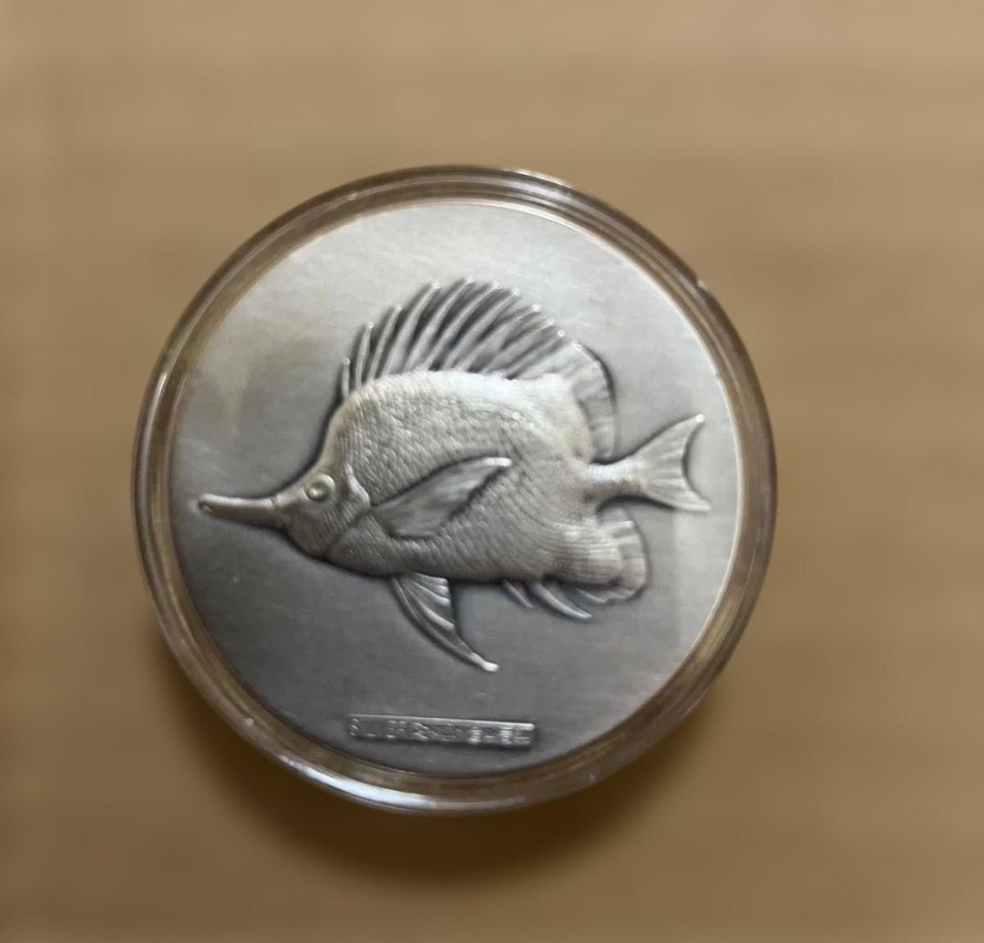 沖縄国際海洋博 純銀メダル 80g