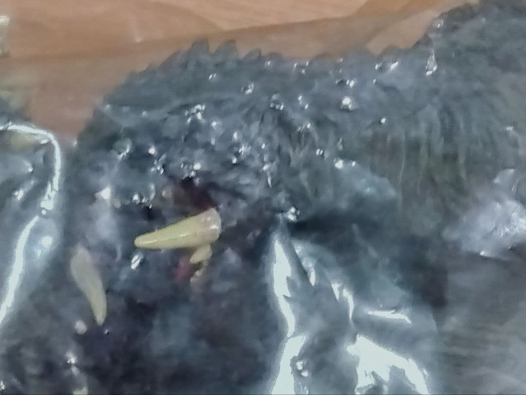 ガメラＧ３ セガ　ソフビ　エックスプラス