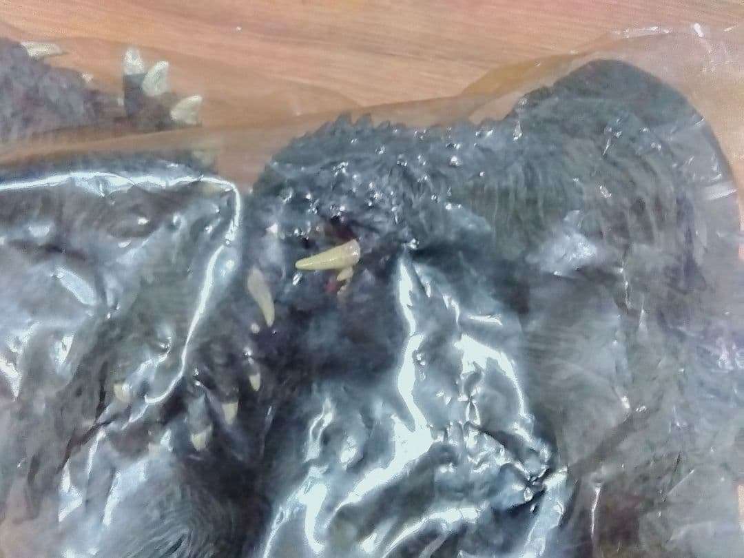 ガメラＧ３ セガ　ソフビ　エックスプラス