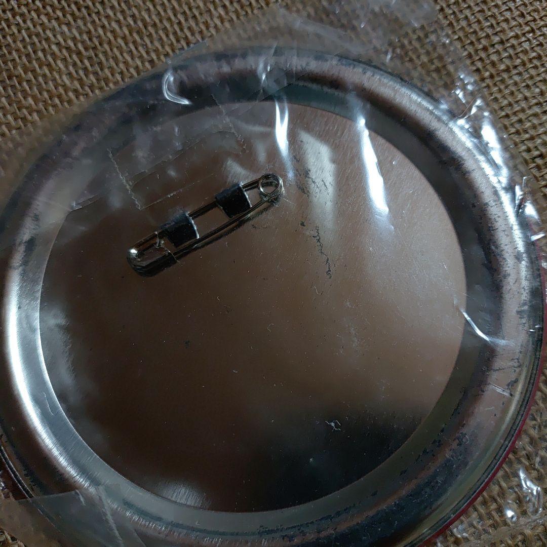 ミッシェルガンエレファント 缶バッジ 2点セット