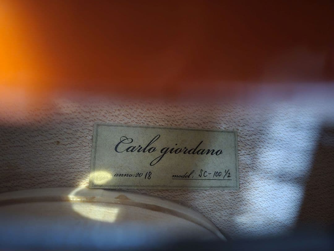 carlogiordanoカルロジョルダーノ チェロ　sc100 1/2