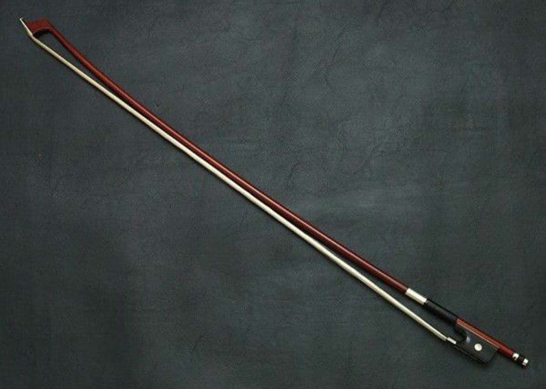 carlogiordanoカルロジョルダーノ チェロ　sc100 1/2