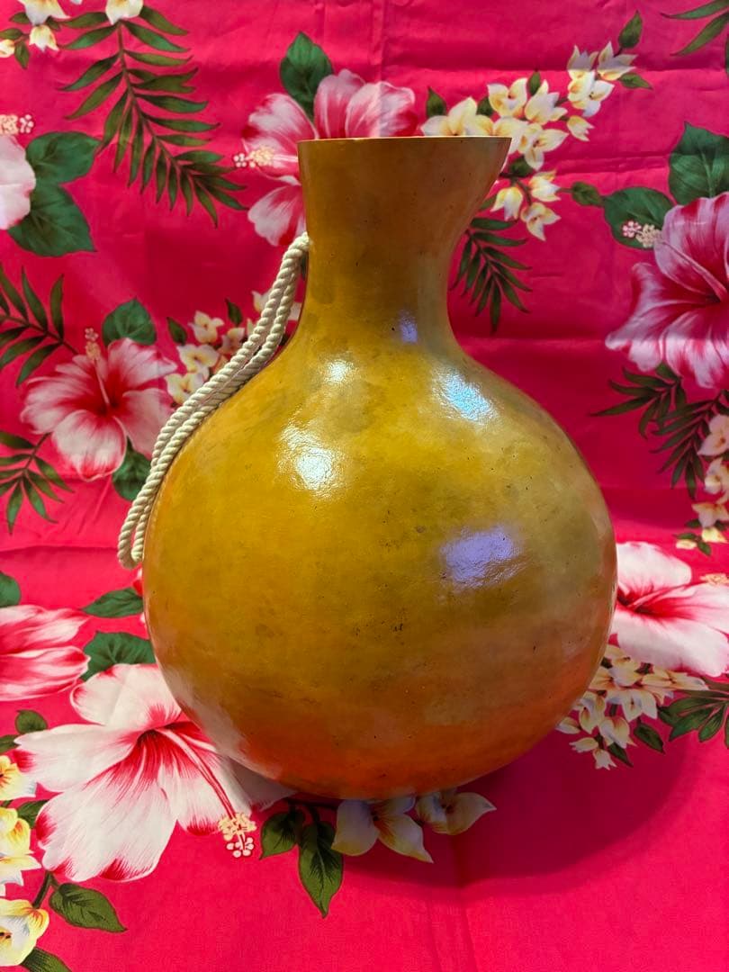 イプ　フラダンス用　楽器