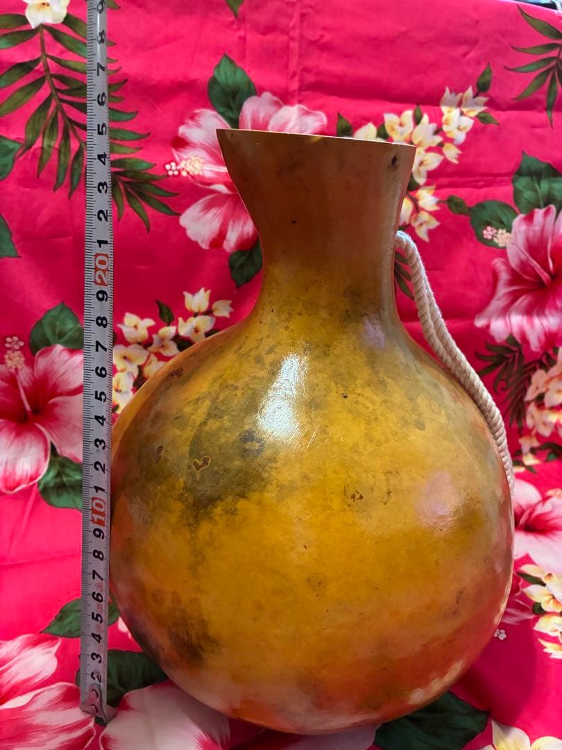 イプ　フラダンス用　楽器