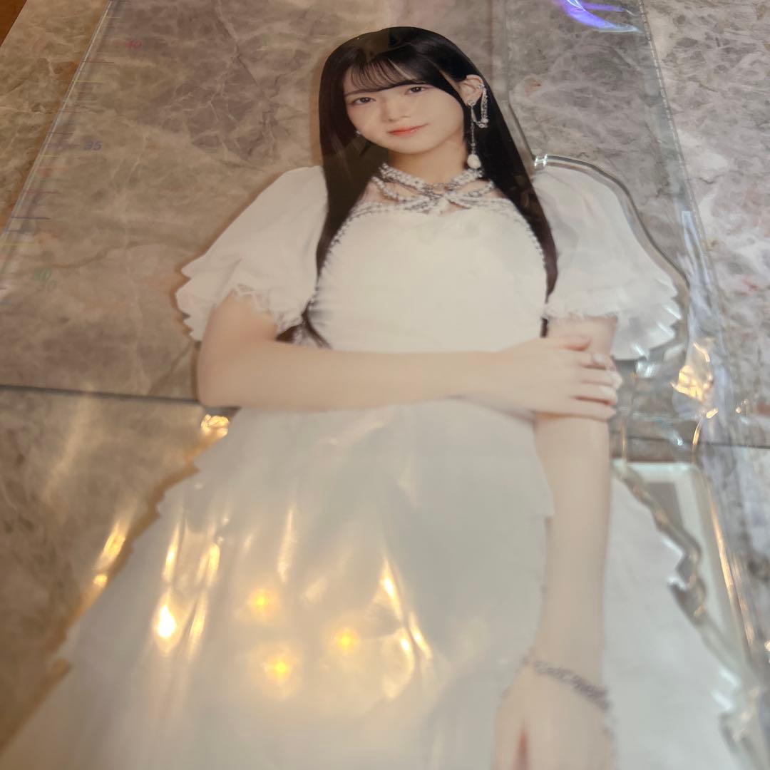 瀬戸口心月　乃木坂46 福袋C 46cmアクリル定規スタンド