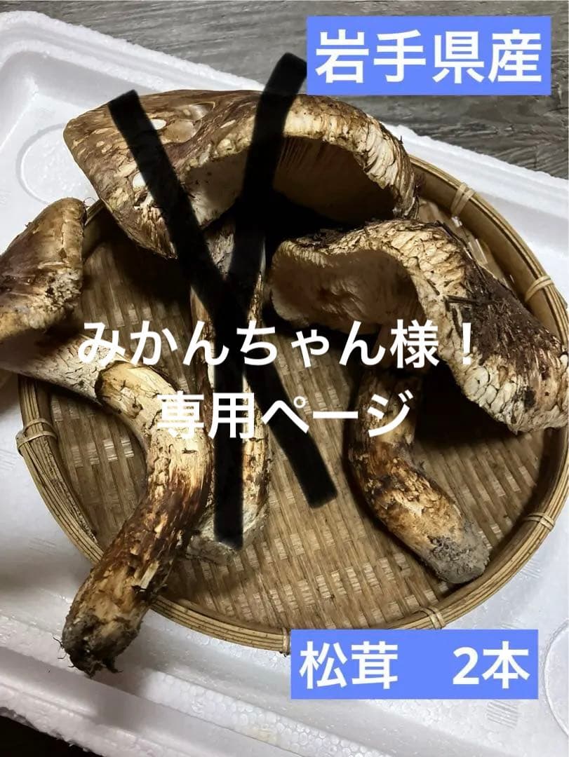 みかんちゃん様‼️専用ページ松茸2本【274g】