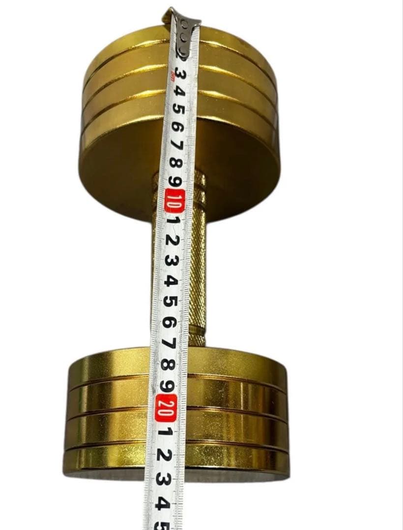 美品 NORTHDEER サンドブラスト版ゴールドアジャスタブルダンベル10kg