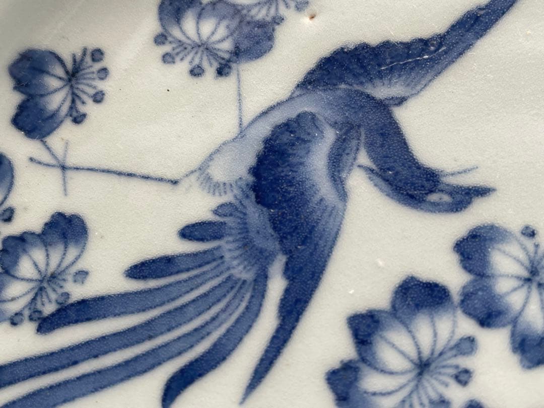 骨董　アンティーク　藍柿右衛門　桐鳳凰文様　六寸皿　丸皿　中皿　古伊万里　藍九谷