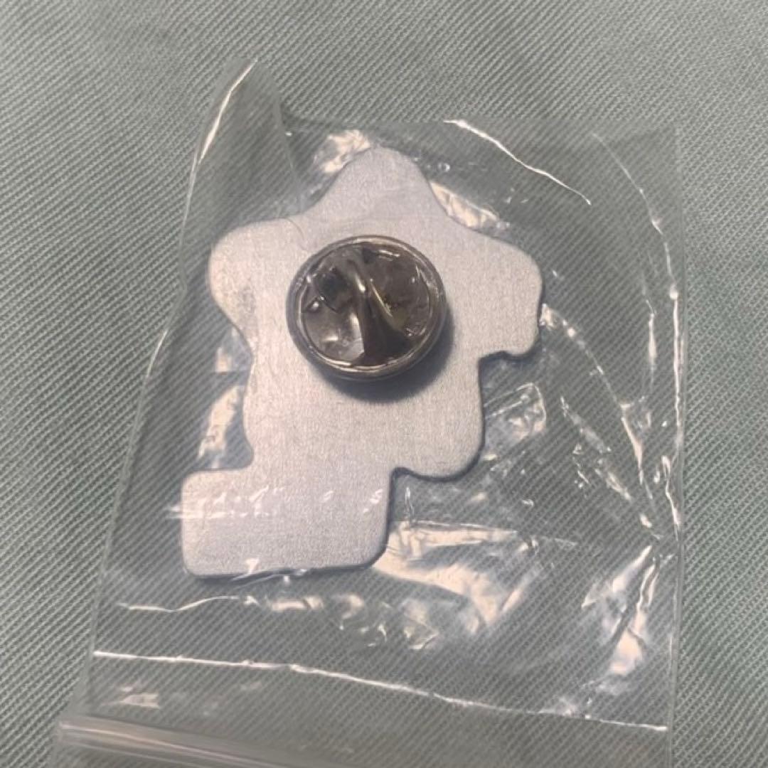 【激レア】　アメリカ館　ナショナルデーピンバッジ