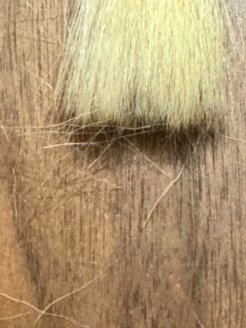 奈良博文堂本舗謹製。新品☆銘筆 入木 奈良博文堂本舗謹製 毛筆　素雲