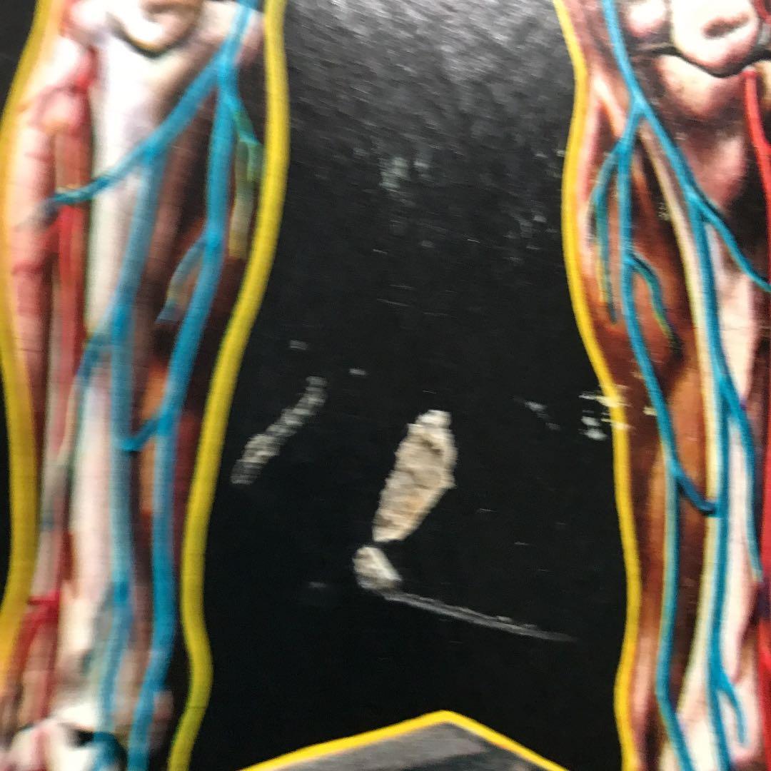 ビンテージ  人体模型  ♂