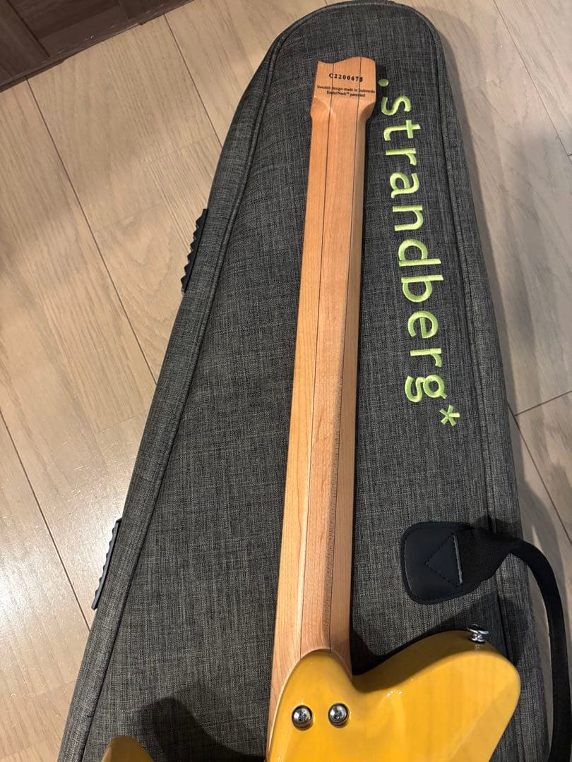 ギター strandberg* Salen classic