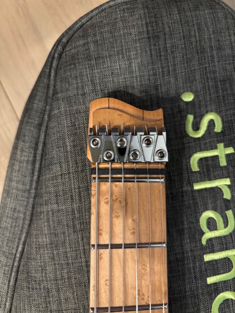 ギター strandberg* Salen classic