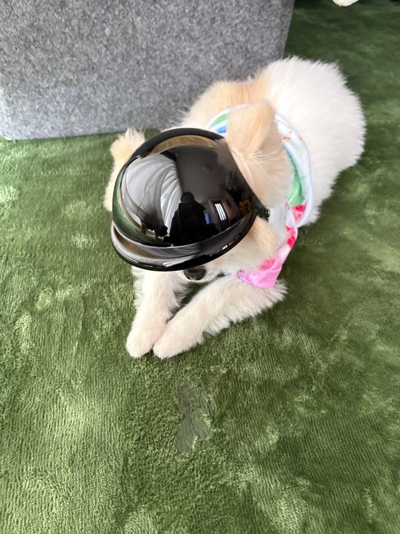 hirocaバディーライダー（buddyrider)&クッション 自転車