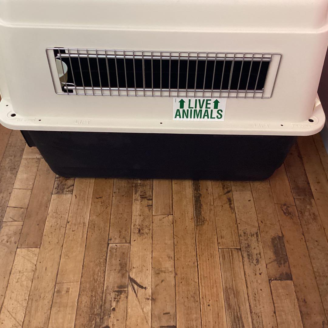 国際輸送 Petmate ウルトラ バリケンネル ペットメイト 中型犬用 米国製