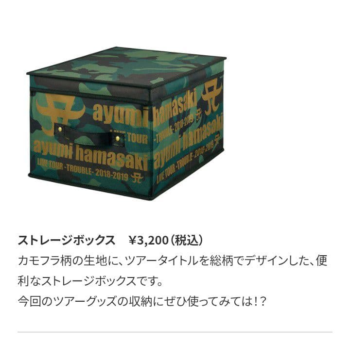 浜崎あゆみ ストレージボックス２個セット