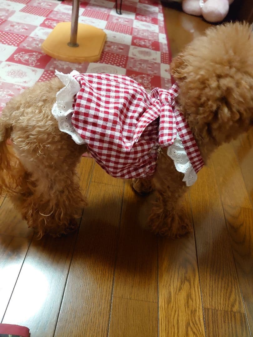 犬服 ハンドメイド ワンピース ギンガムブルー