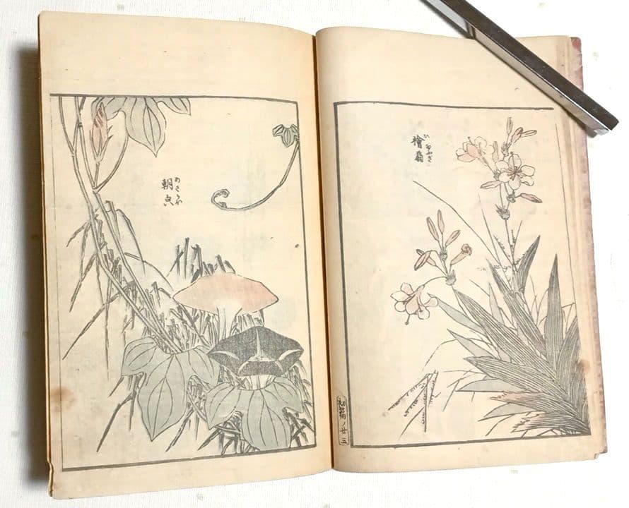 傳神開手北斎画宛三編全（色摺版画本)い葛飾北斎画 江戸版（嘉永2年以降)