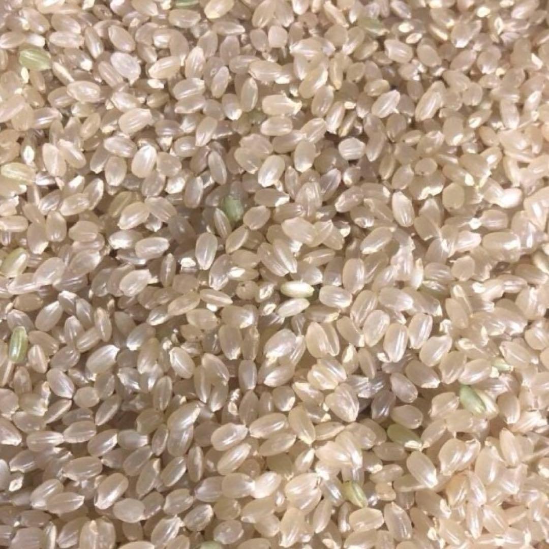 希少！ はざかけ米 無農薬！農家直送 100% コシヒカリ 20Kg