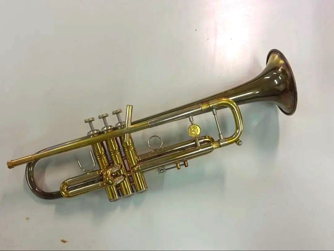 管楽器・吹奏楽器 Holton T101