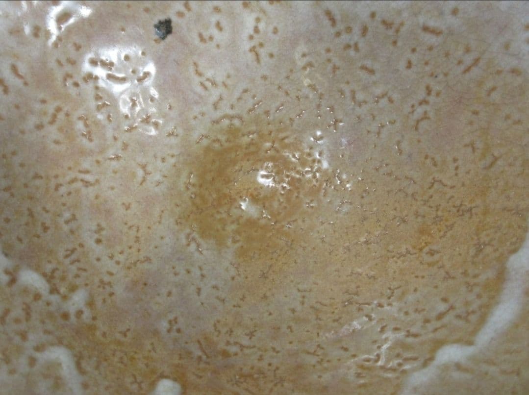 真作保証 11代 坂高麗左衛門 自作 旧毛利藩御抱窯 コレクター放出品 山口県